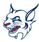 ST. THOMAS UNIVERSITY
